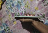 Realme c75